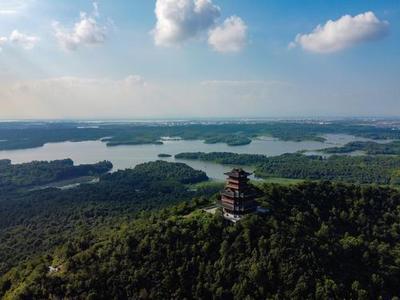 精忠岳飞,"池宣诗路"吟翠微