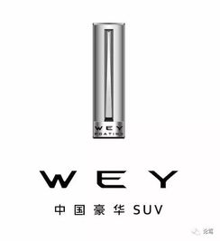wey你解码 l 万里之行,始于池州,国民公路g318 476km