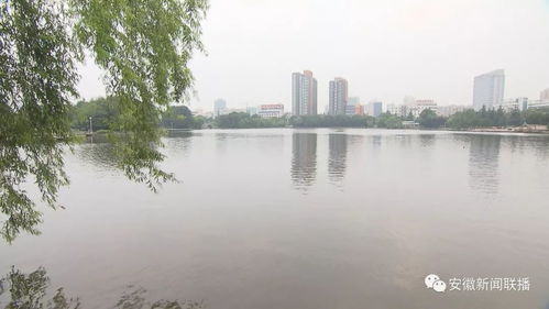 池州 保护与治理并重 守护碧水清流