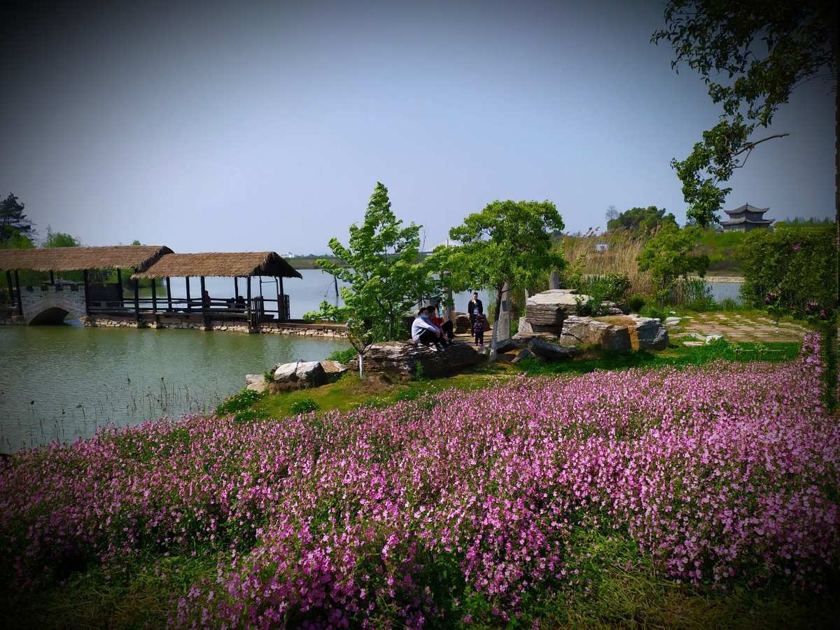 池州,杏花村风景!