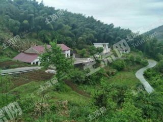安徽池州东至县土地服务中心优质土地流转 土流网