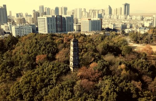深秋回暖,池州各地的秋景,你准备好打卡了吗