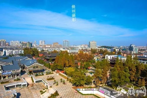对不起,今天池州向你道歉