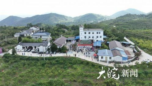 池州市贵池区做好 焦枣文章 助力乡村振兴