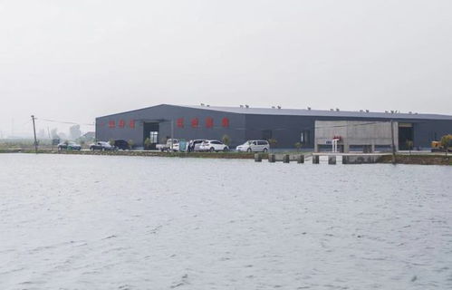 方正赴贵池区调研春耕备耕和特色农产品种植养殖工作